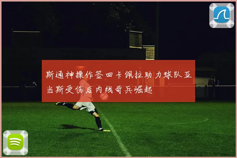斯通神操作签回卡佩拉助力球队亚当斯受伤后内线奇兵崛起
